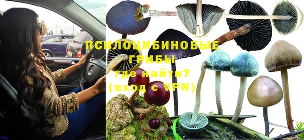 ПСИЛОЦИБИНОВЫЕ ГРИБЫ Усинск